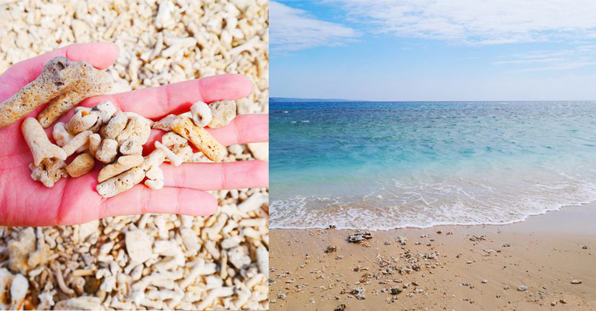 【墾丁】讓在地人帶你去「秘密沙灘」 墾丁、私房景點、沙灘、小峇里島、珊瑚礁