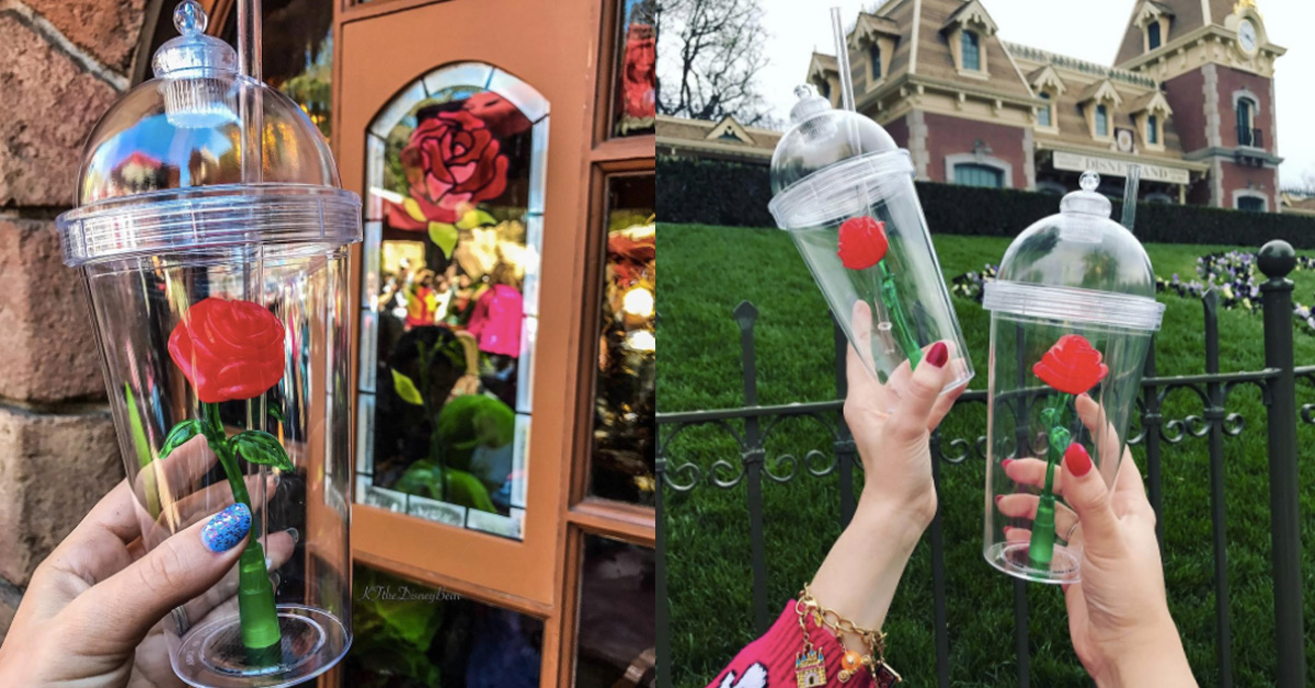 排隊5小時也甘願！一入園就陷入瘋搶的《美女與野獸》魔法紅玫瑰限量隨行杯 美女與野獸、排隊商品、限定、搶購、魔法紅玫瑰