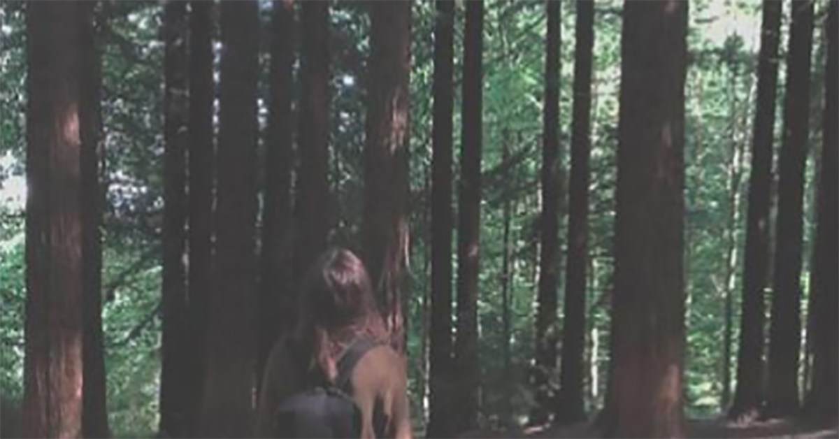 妞書僮：妹妹的演技把親生母親都給騙過了？！《我不是我自己》新書轉載2-2 妞書僮、我不是我自己、交換身分、身分認同、懸疑、推理、讀讀書