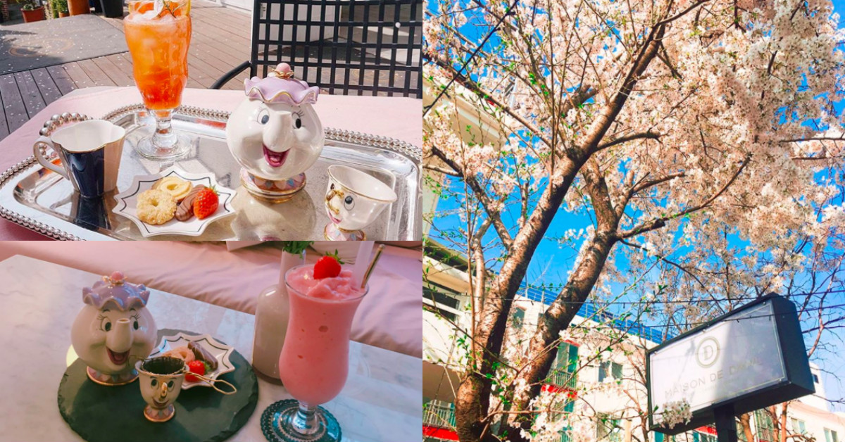 和茶壺太太一起來杯茶！韓國咖啡廳Maison de dawl美女與野獸下午茶 韓國、咖啡廳、Maison de dawl、美女與野獸、茶壺太太、下午茶、櫻花、釜山、甜點、可愛、夜櫻