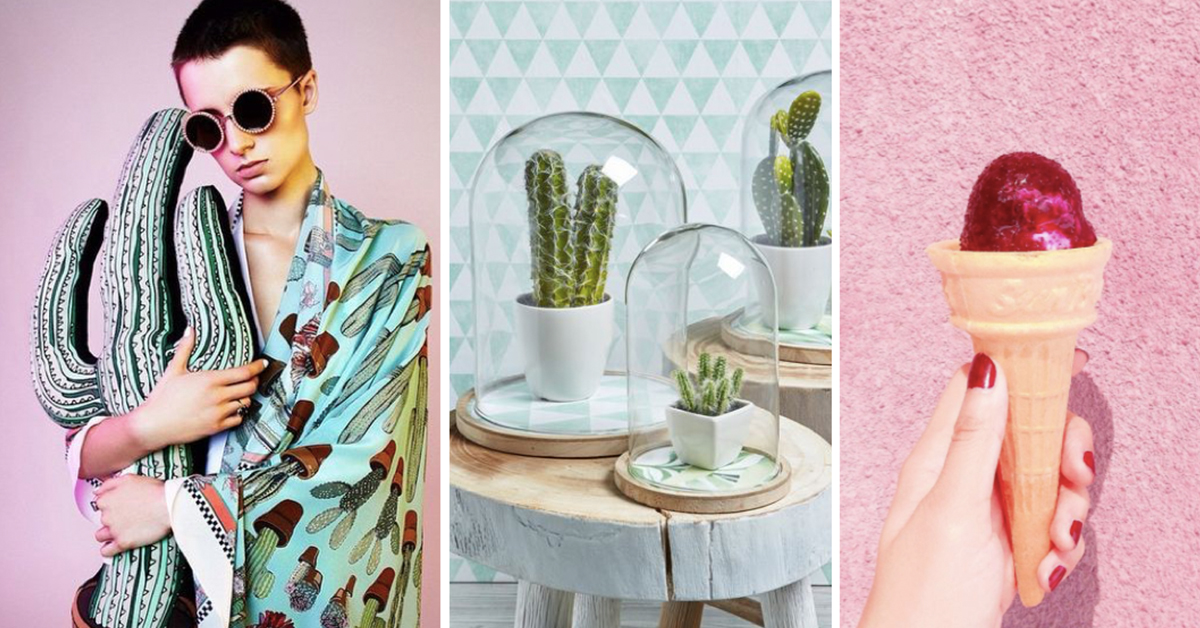 可以吃、可以擦、可以防小人！你不知道的仙人掌3個妙用 Dreamhound、仙人掌、保濕、面膜、精華