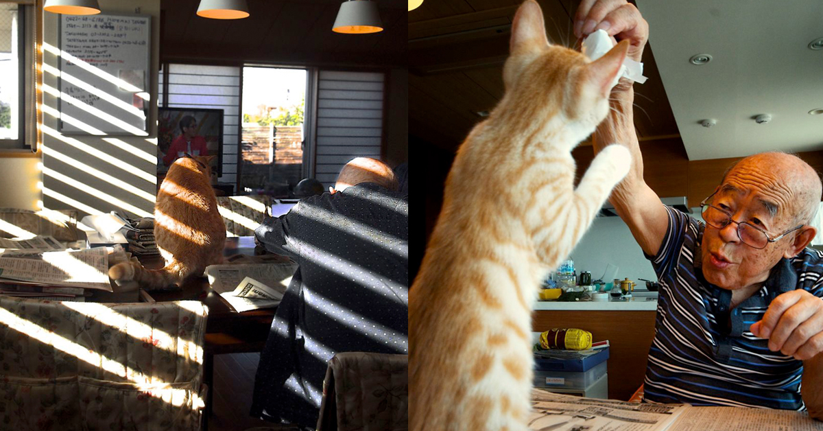 爺爺生病後陷入憂鬱和易怒… 直到這隻貓咪再次改變他的人生 生病、寵物、Akiko DuPont、Kinako、憂鬱、快樂、溫馨