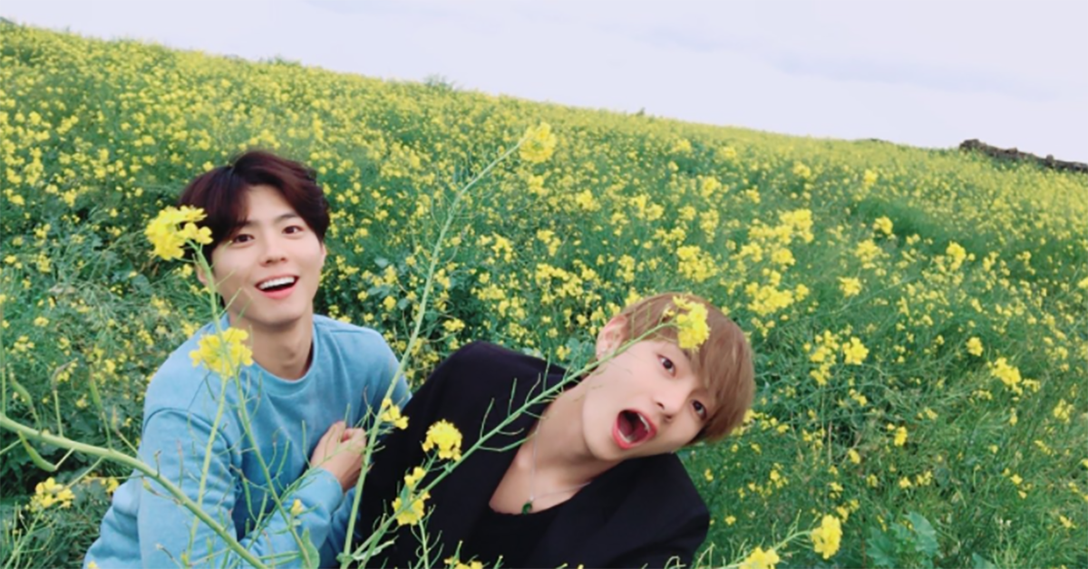 到底該賞花還是看美男？花美男兄弟V和寶劍一起同遊濟州島 花美男、朴寶劍、V、金泰亨、出遊