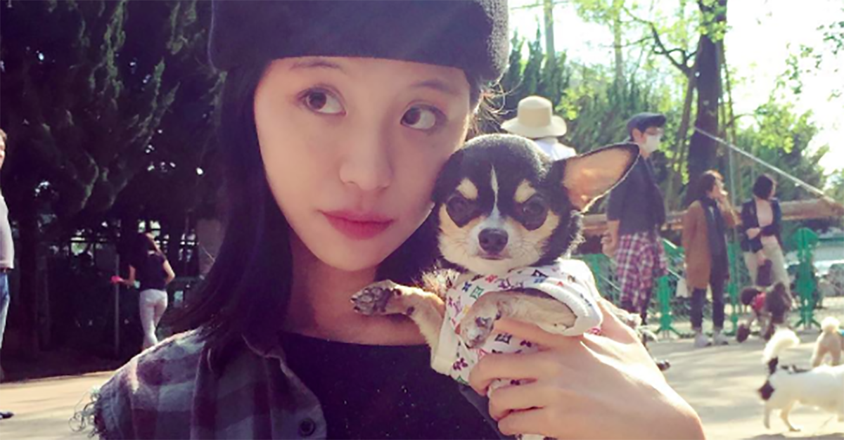 妞書僮：亞洲最萌的血型寶寶回來啦！《血型小將ABO 9》新書轉載3-2 妞書僮、血型小將ABO、神準、好笑、可愛