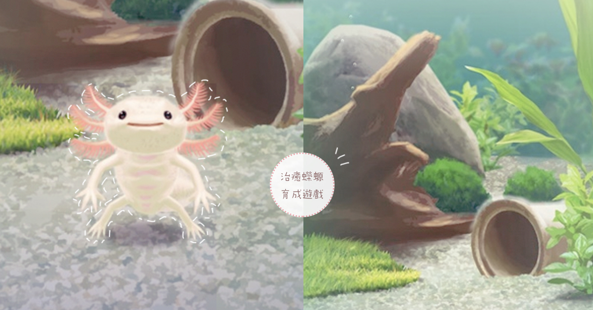 各種翻轉姿勢看了太療癒！超萌的《治癒蠑螈育成遊戲》 蠑螈、治癒、翻轉、療癒、萌