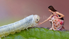 拇指姑娘Annabelle的大冒險 俄國女藝術家趣味攝影 攝影、俄國、有趣、動物、 Annabelle Danchee