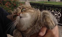 妳聽過嗎？爛男人十大金句 兩性、名言、愛情、私話題