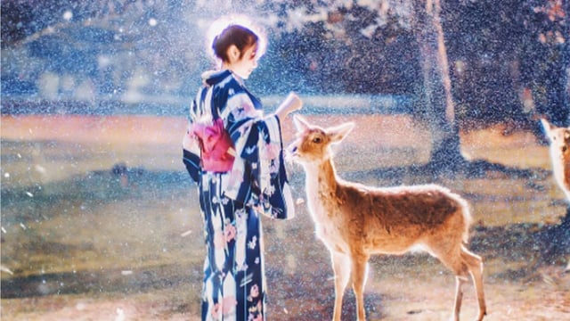 這樣的奈良你看過嗎？莫斯科攝影師鏡頭下的魔幻日本 莫斯科、攝影、Kristina Makeeva、日本、旅行、魔幻、美景、奈良、海濱公園、櫻花隧道、藝術