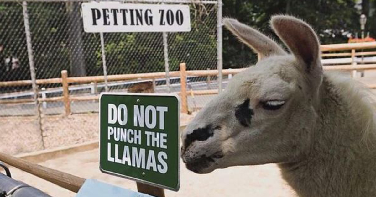 「人類小孩會讓老虎消化不良」？超幽默動物園標語歡迎來找亮點 標誌、警語、動物園、動物、創意