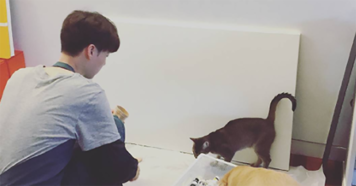 安具夫婦有孩子了？！具惠善考取兒童美術執照：「和家裡的『小朋友』一起畫～」 具惠善、安宰賢、孩子、畫畫、兒童、美術、才女、行善