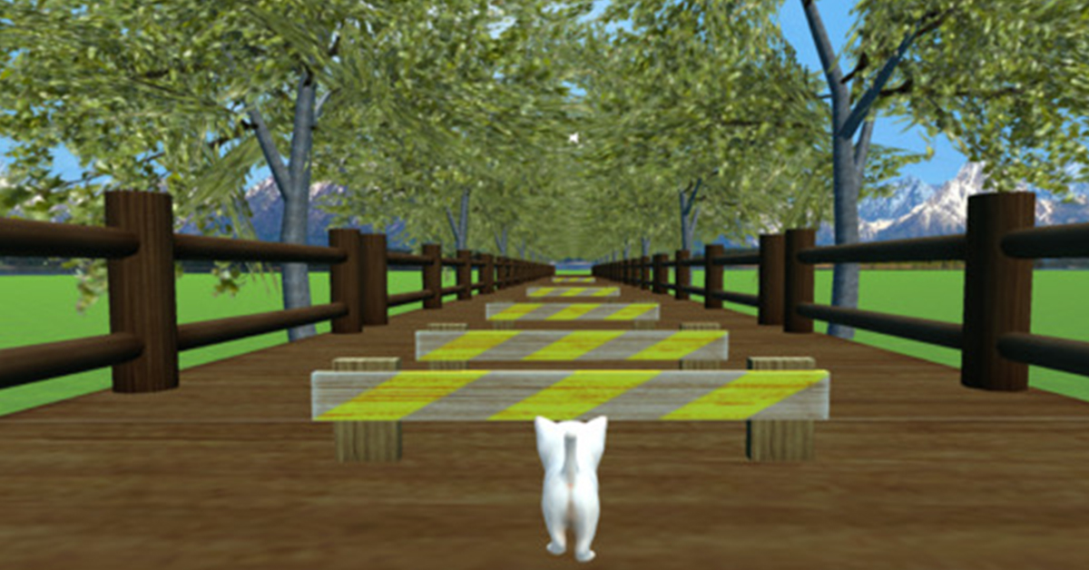 05/19限時免費App特輯：把傲嬌的貓老大掌握在手掌心！ 限免、免費、特價、iPhone、App、Apple store