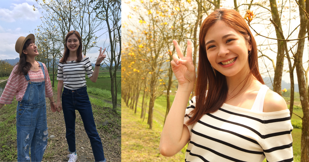 【花蓮】黃金風鈴木  金黃色的浪漫 愛玩妞、花蓮、愛玩妞在花蓮、黃金風鈴木  、151、Emily