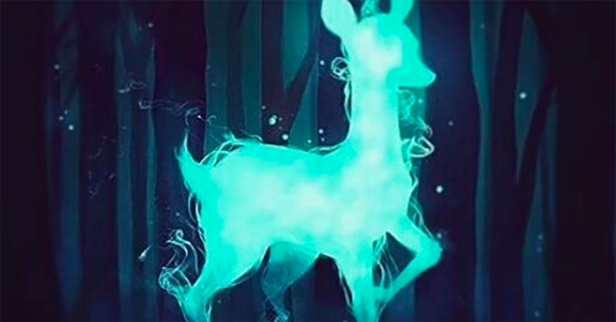 妞書僮：大家都知道奈良有鹿...那京都呢？《有鹿來：京都的日常》新書轉載2-1 妞書僮、有鹿來、京都、日常、鹿、驚喜、雅景人文、歲時迭替、讀讀書