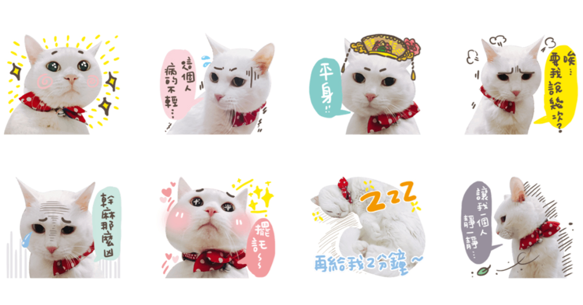 本貓的世界你們奴才不懂！《啾啾妹雪莉貓-真貓出閘》帶你一探貓咪傲嬌模樣 雪莉貓、啾啾妹、貓奴、貓咪、LINE