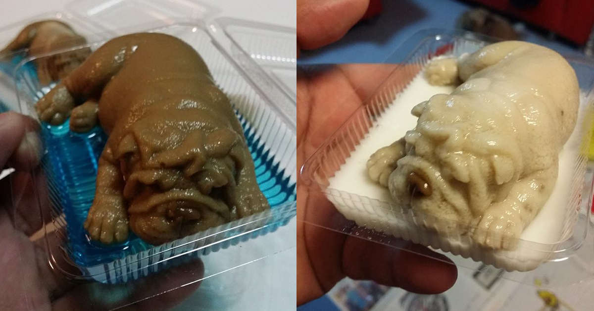 鼻要鼻要鼻要吃我！超逼真沙皮狗果凍寶寶捨不得吃 果凍、沙皮狗果凍、甜點、泰國、Waiwan、造型甜點