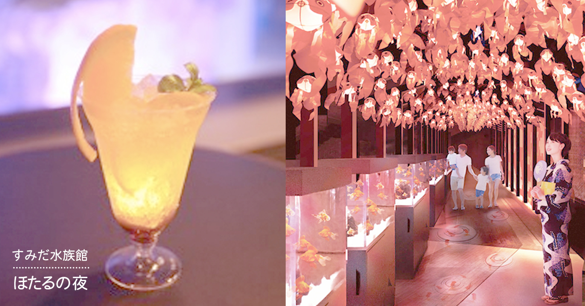 城市中也能感受被螢火蟲包圍的浪漫！來墨田水族館體驗「螢火蟲之夜」 螢火蟲、賞螢、螢火蟲之夜、墨田水族館、東武動物園、天空樹、晴空塔、螢火蟲學院