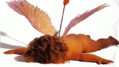 奇想無限 各式趣味情人節卡片 新鮮貨、KUSO、新鮮貨、KUSO、插畫