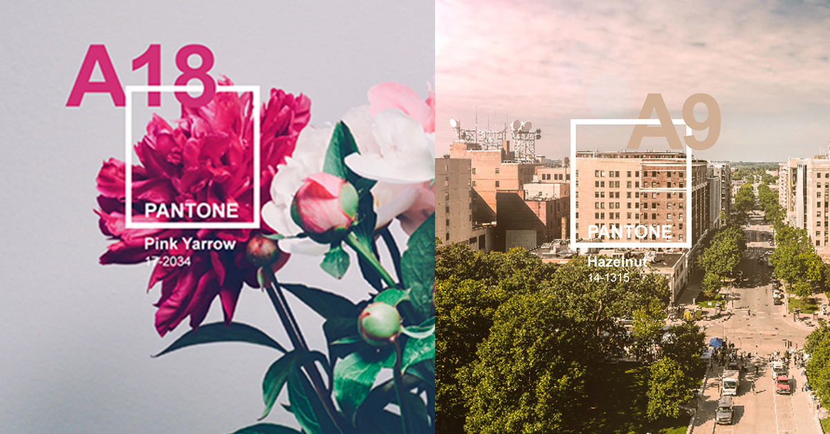 A9林口站也能成為新的玩樂地標？5個讓你玩到捨不得出國的桃捷必逛車站 桃園機場、桃園機場捷運、桃捷、機捷、捷運、好玩、合和集團、Pantone好趣處、攤位、三重、三重林氏古厝、散心、長庚醫院、環球購物中心、林口觀光酒廠、輕食慢活攤位、風文創市集、三井OUTLET、桃園高鐵、愛美妞、大江國際購物中心、華泰名品城、農市集、老街溪河川教育中心、大自然、桃捷美好生活市集