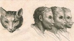 人類是進化終點！？17世紀畫家Charles Le Brun的動物進化假想圖 進化、進化圖、繪畫、想像、假象