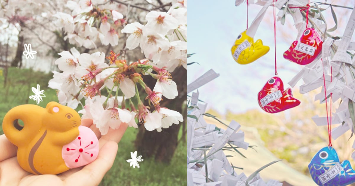 想要求戀愛運還得先釣魚？日本可愛動物御神籤5選 冰川神社、鯛魚、護王神社、山豬、平野神社、金蛇水神社、蛇、十番稻荷神社、青蛙