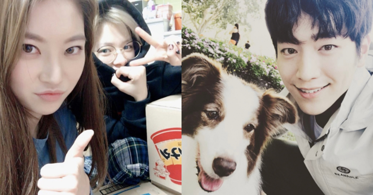 「國民年下男友」搶婚宣言夫婦！徐康俊、孔升妍攜手搭新戲 徐康俊、孔升妍、你也是人類嗎、定延