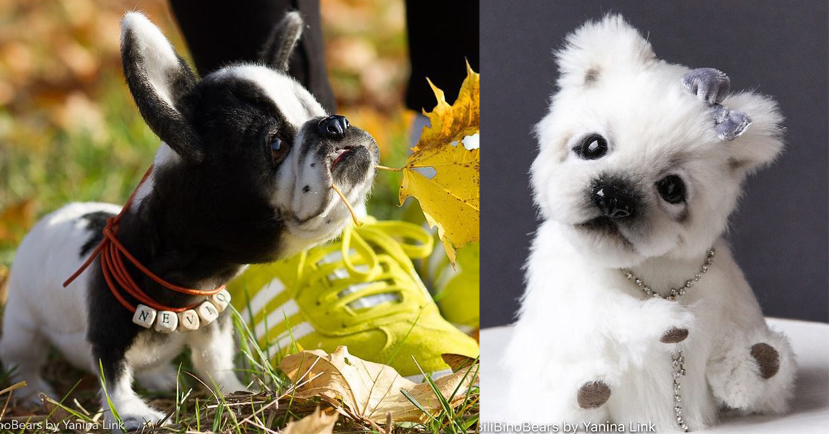 差點以為是馬克杯寵物！一手掌握的超逼真動物布偶就要偷走你的心 馬克杯狗狗、迷你、動物、布偶、逼真、可愛、bilibinobears、Yanina