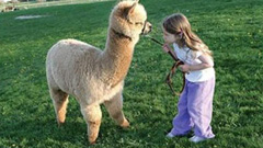 真人vs.動漫 寫實照片與美化繪圖的戰爭 好點子、插畫、藝術、繪畫、藝術