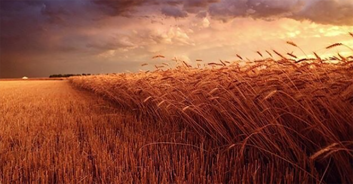 妞書僮：是自閉症的兒子教會我如何幸福！《山姆和我的幸福冒險》新書轉載 妞書僮、山姆和我的幸福冒險、感人、自閉症、真實故事、 人生、奇蹟、幸福、讀讀書