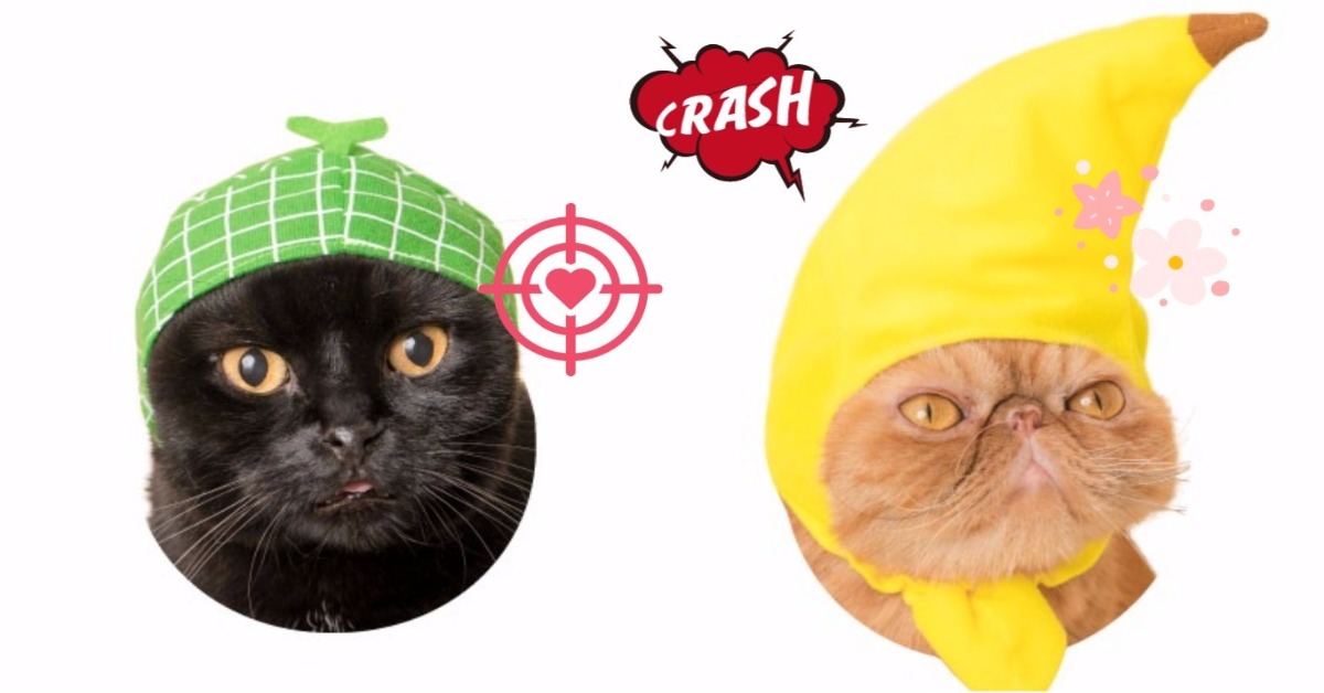 你家貓咪怎麼長得一臉「香蕉」樣？水果口味的喵星人頭巾又來啦！ 貓咪、喵星人、水果、頭巾、日本