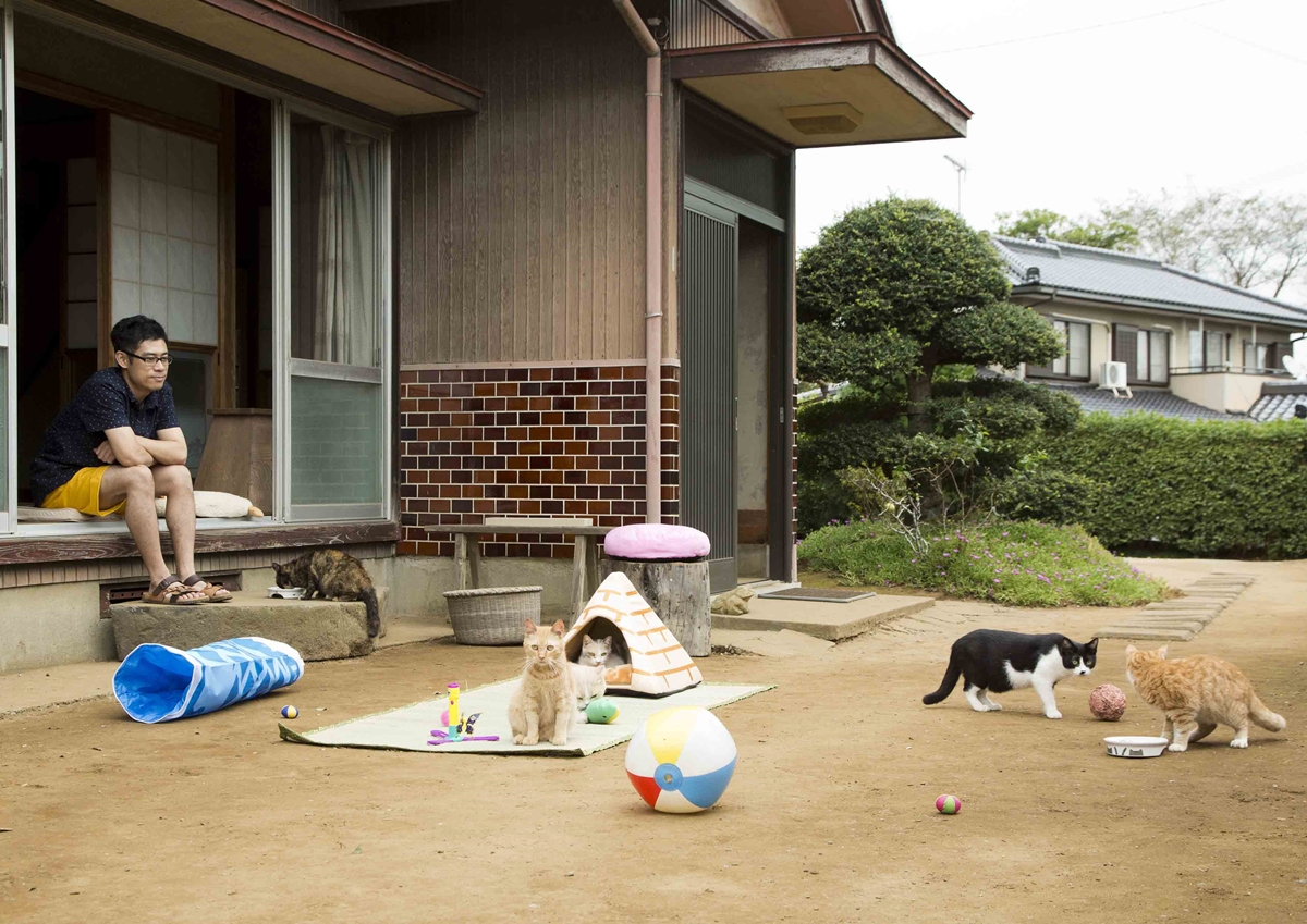 [新聞稿]喵星人拍片一次到位不NG！貓界的影帝影后全都在《貓咪收集之家》  《貓咪收集之家》、愛心認養會、伊藤淳史、天馬行空