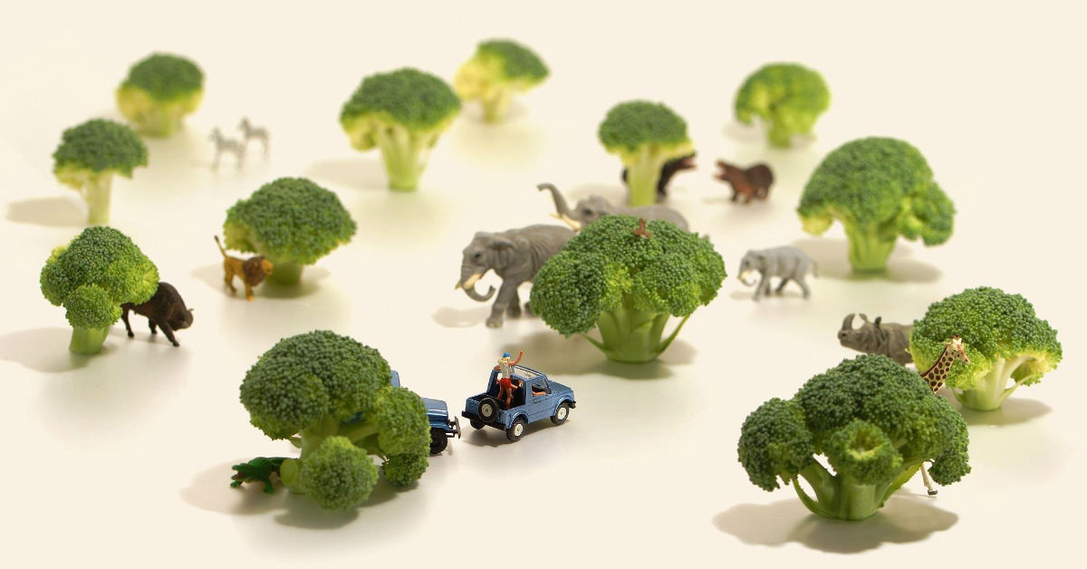 文青就是腳勤：到花椰菜森林冒險吧！田中達也的奇幻微型世界療癒人心 田中達也、微型展、便便展、異鄉人、攝影展、插畫、版畫、草間彌生、DINOLAB恐龍實驗室