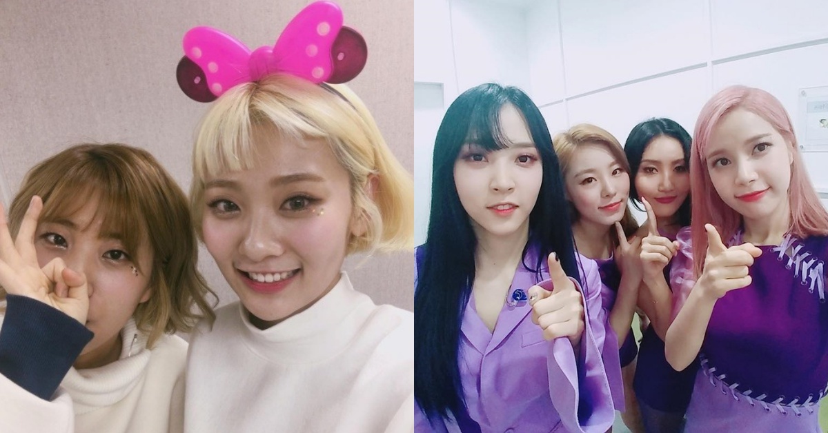 韓國實力派音源女流氓！臉紅的思春期、MAMAMOO確定來台開唱 臉紅的思春期、安智英、禹志允、MAMAMOO、頌樂