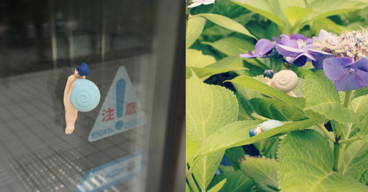 因為愛上屋主而長出人臉的「戀家系」蝸牛？！蝸牛少女扭蛋獵奇登場 蝸牛少女、戀家系蝸牛、常見種、水邊生活種、Shine-G、窗邊的蝸牛少女