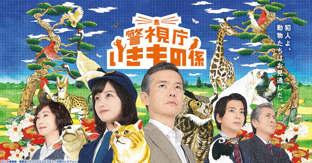 橋本環奈的女警造型也太萌！ 推理+可愛動物=今夏最Q日劇《警視廳生物系》 橋本環奈、渡部篤郎、三浦翔平、可愛動物、萌寵、毛小孩、推理、警視廳、警視廳生物系、日劇、貓、兔子、十姊妹、企鵝