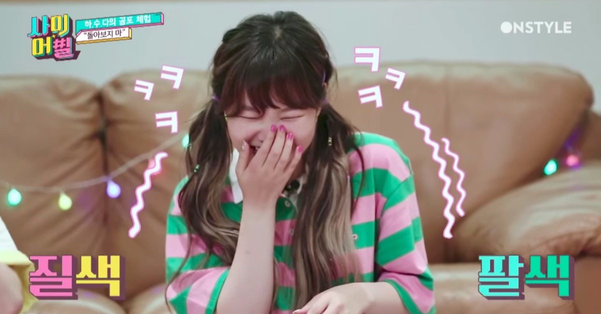 帶你一窺YG三大女神的呆萌魅力！被綜藝節目《遐秀Da》萌得嫑嫑的 遐秀Da、Dara、李遐怡、樂童音樂家、秀賢