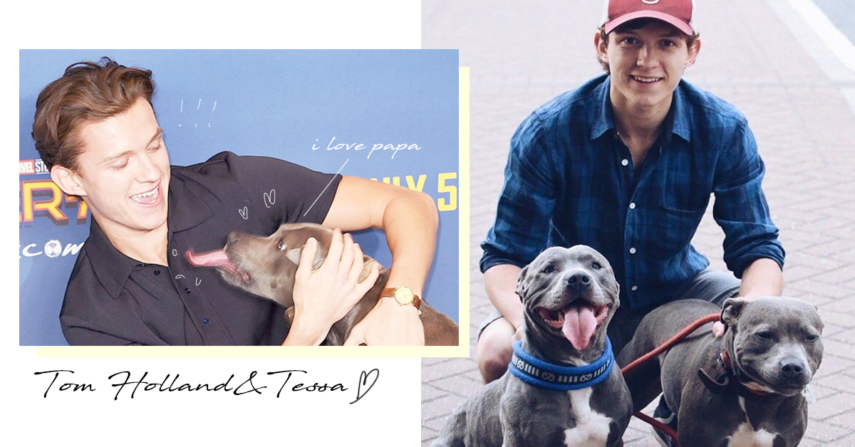 我也想當Tessa跟湯姆24小時黏TT！湯姆霍蘭德的狗奴全紀錄 湯姆霍蘭德、Tom Holland、蜘蛛人、狗奴、Tessa