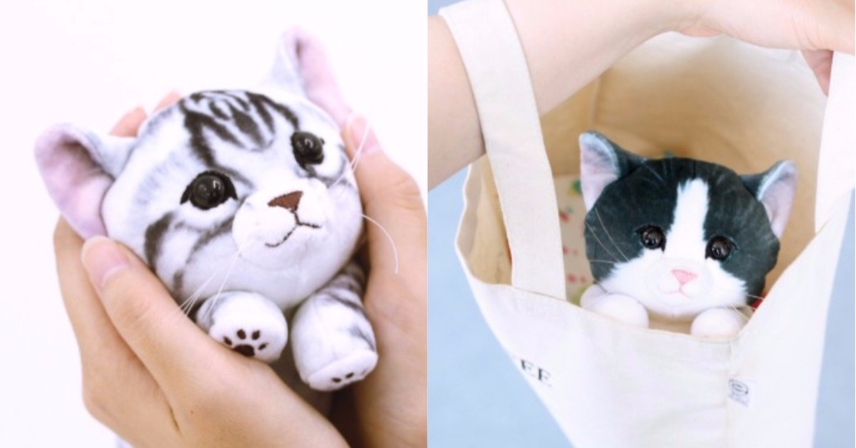 超逼真棉花糖觸感小貓！療癒貓貓小物撫慰你的身心靈 貓咪、可愛、文具、逼真、日本、捐款、文具控