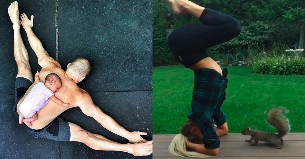 奴奴在做瑜伽主子麥來亂啦！狗貓嬰兒亂入的6個瑜伽促咪時刻 瑜伽、瑜珈、Yoga、狗貓亂入、奴奴哭哭