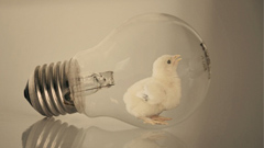 燈泡中的奇幻世界 Adrian Limani的超現實攝影作品    Adrian Limani、藝術