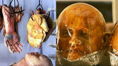 [妞精選] 反胃食物精選輯 噁心、詭異、恐怖、可怕、食物