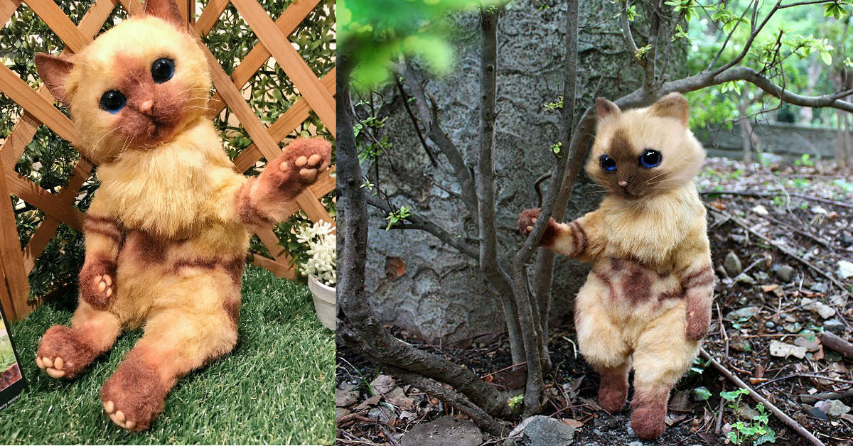 小小一隻就要4萬5千台幣！《魔物獵人》艾路貓仿真娃娃在「猫の日」與你相遇 魔物獵人、艾路貓、猫の日、仿真娃娃、CAPCOM、PIGU