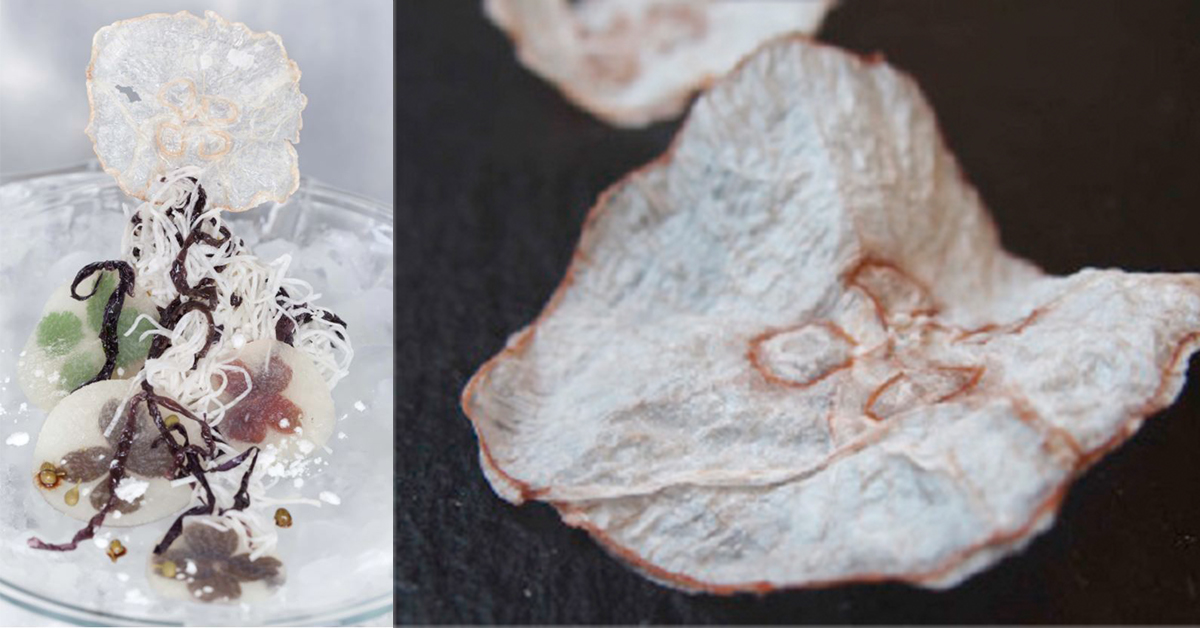 把水母做成洋芋片？有潛力成為丹麥美食的「脆皮水母」 脆皮、水母、洋芋片、丹麥、海洋生態