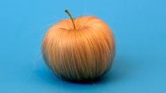 是水果？是頭髮？真真假假創意食物攝影又來了！ 創意、攝影、水果、好點子、Sarah Illenberger