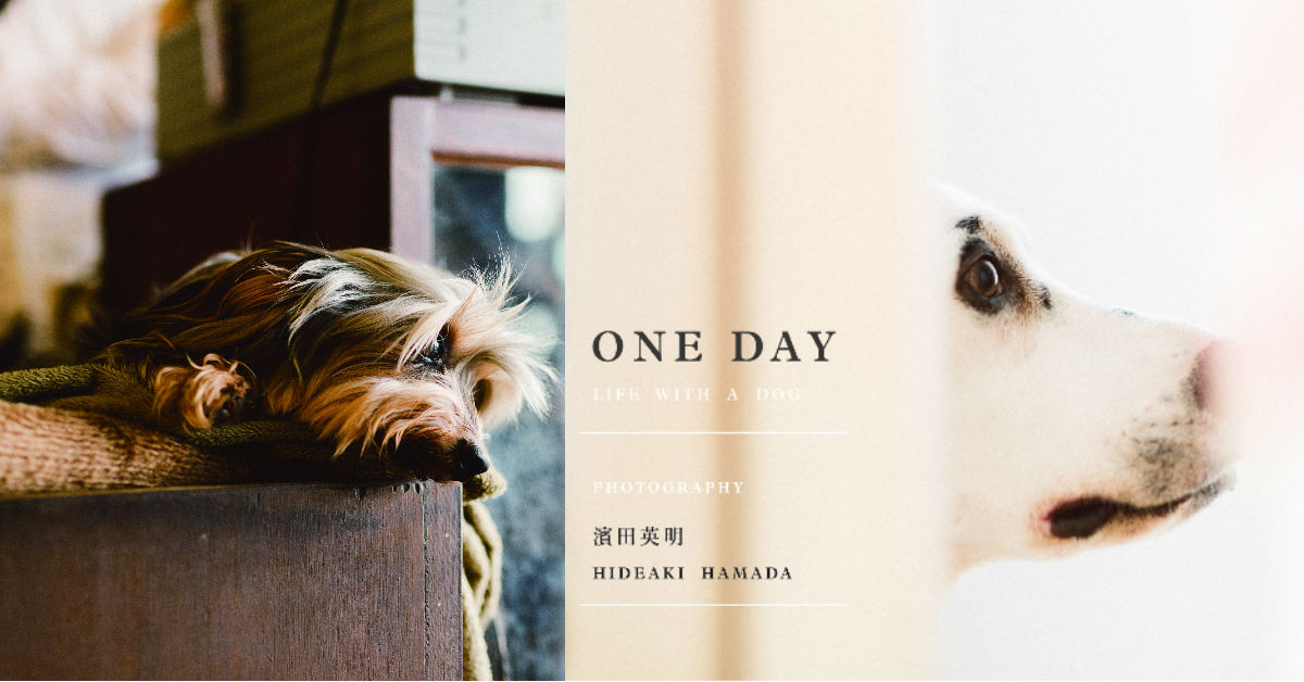 文青就是腳勤：「ONE DAY」攝影企劃溫柔凝視人與狗狗的美好關係 濱田英明、倉持伊吹、鄭瓊娟、三木森、林倖安