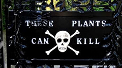 能救命也能害人 英國Alnwick Poison Garden有毒植物園 異事、什麼玩意兒、植物、英國、Alnwick