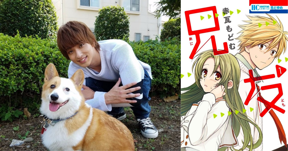 連載中少女漫畫《兄友》即將電影化！橫濱流星確定出演主角帥到流淚 日本、橫濱流星、漫改電影、少女漫畫、兄友