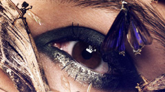 天然的最好？ Elias Hove的昆蟲時尚攝影 Elias Hove、藝術、攝影、時尚、怪奇