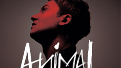 2013年第6週 西洋流行歌曲快報 2013、西洋、流行歌、流行曲、流行歌曲