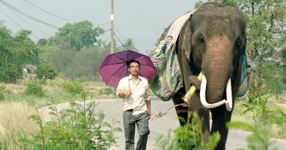 自我蛻變之歌！《親愛的大笨象》將代表新加坡角逐奧斯卡最佳外語片 親愛的大笨象、新加坡、奧斯卡最佳外語片、金馬獎、導演、陳哲藝、監製