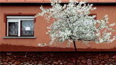 血紅的記憶  匈牙利Ajka毒泥浩劫線       Ajka、匈牙利、多瑙河、藝術